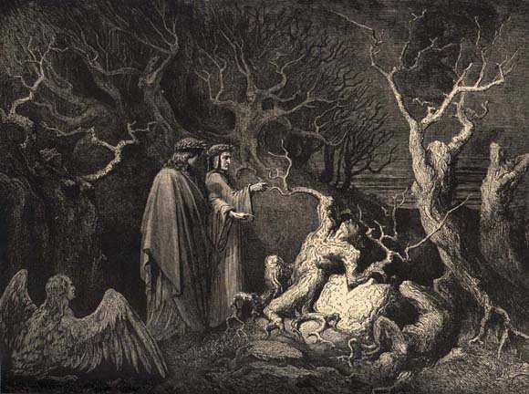 Woods of the Suicide, 7th Circle of Hell, Dan'