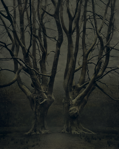 Tree, Desiree Dolron