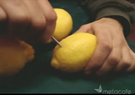 lemons1
