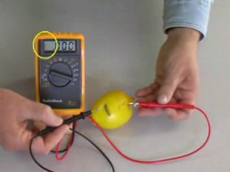lemons2