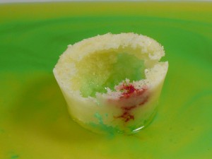 salt experiment 1.7