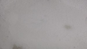 S2